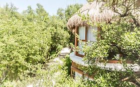 Mamasan Treehouses & Cabins Тулум Exterior photo