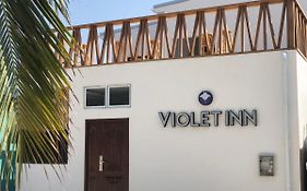 Violet Inn Hotel Дхаравандху Exterior photo