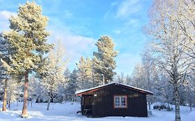 Вілла Sormons Stugby Ljusnedal Exterior photo