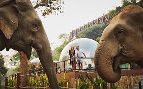 Anantara Golden Triangle Elephant Camp & Resort Чіанграй Exterior photo