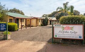 Ficifolia Lodge Parndana Exterior photo