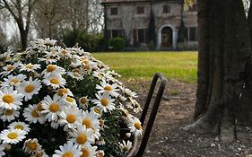 Вілла Agriturismo Corte San Girolamo Мантуя Exterior photo