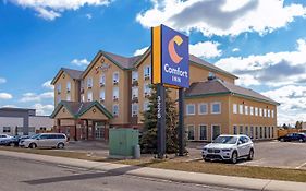 Comfort Inn Летбрідж Exterior photo