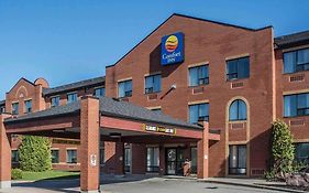 Comfort Inn Порт-Гоп Exterior photo