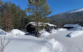 Nymon Mountain Lodge Стьотен Exterior photo