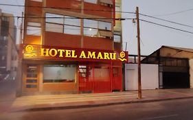 Amaru Hotel Копіапо Exterior photo