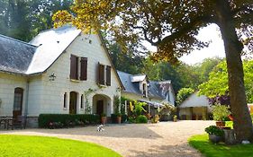 Bed and Breakfast Domaine De Joreau Gennes-Val-de-Loire Exterior photo