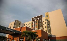 Hilton Garden Inn Tampa Suncoast Parkway Луц Exterior photo