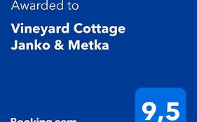 Vineyard Cottage Janko & Metka Оточець Exterior photo