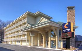 Comfort Inn & Suites At Dollywood Lane Піджен-Фордж Exterior photo