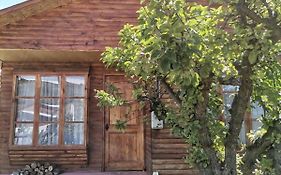 Bed and Breakfast Sol De La Patagonia Пуерто-Гуадаль Exterior photo