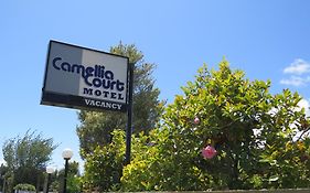 Camellia Court Family Motel Таупо Exterior photo