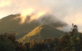 Bed and Breakfast Kauri Point Luxury Bed & Breakfast Таупо Exterior photo