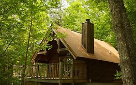Вілла A Cabin In The Woods Піджен-Фордж Exterior photo