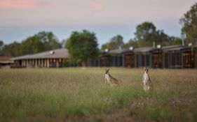 Wildman Wilderness Lodge Дарвін Exterior photo