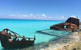 Bimini Seaside Villas - Pink Cottage With Beach View Еліс-Таун Exterior photo