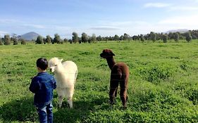 Taras Richmond Farmstay Campania Exterior photo