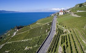 Готель Domaine Du Burignon Saint-Saphorin Exterior photo