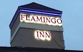 Flamingo Inn Елк-Сіті Exterior photo