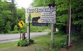 Bear Tree Lodge Вейрз-Біч Exterior photo