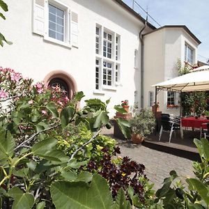 Готель Bio-Weingut, Gaestehaus Und Kraeuterhof Flomborn Exterior photo