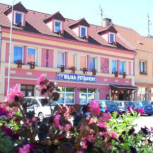 Готель Pension Bernartice Exterior photo