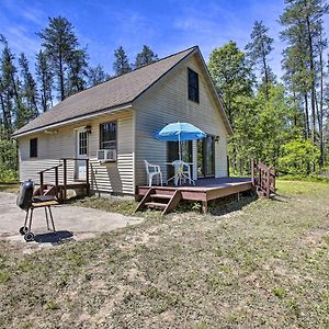 Вілла Secluded Irons Cabin With 5-Acre Yard, Deck, Grill! Exterior photo