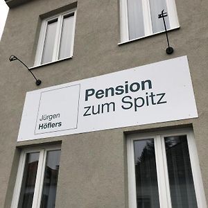 Готель Pension Zum Spitz Seebenstein Exterior photo