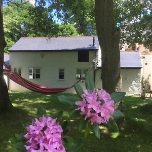 Вілла Claremont Coach House Frensham Exterior photo