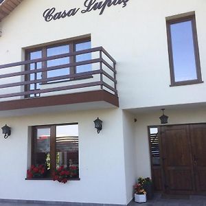 Готель Pensiunea Casa Lupas Джилеу Exterior photo