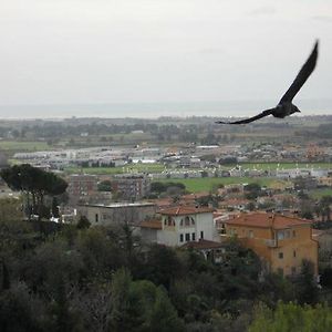 Bed and Breakfast Al Castello Таркуїнія Exterior photo