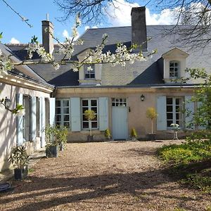 Bed and Breakfast La Maison Celadon Prunay-Cassereau Exterior photo