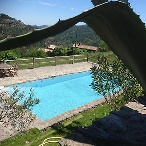 Bed and Breakfast Le Mercou En Cevennes Saint-Martin-de-Boubaux Exterior photo