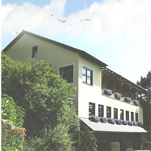 Готель Landgasthaus Zum Erlengrund Emskirchen Exterior photo