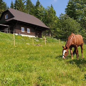 Вілла Panorama Ranc Jezici Exterior photo