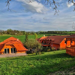 Harmonia Wellness Villa Сільвашварад Exterior photo