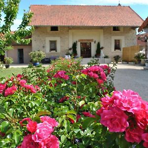 Bed and Breakfast La Besace Sainte-Croix  Exterior photo