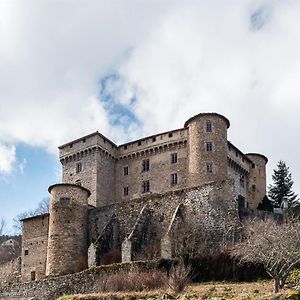 Вілла Chateau Des Marcilly Talaru Шальмазель Exterior photo