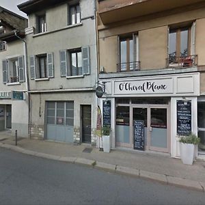 Апартаменти Immeuble De Charme La Tronche La Tronche  Exterior photo