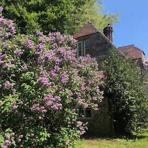 Апартаменти Beautiful Converted Stable In Peaceful Somerset, Close To The Jurassic Coast Чард Exterior photo