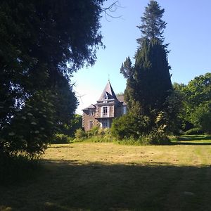 Les Gites Du Chateau De Passille Parigne Exterior photo