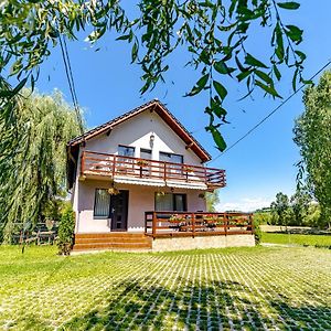 Готель Casa Nitu Інторсура-Бузаулуй Exterior photo