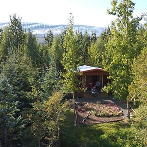 Bakkakot 1 - Cozy Cabins In The Woods Акурейрі Exterior photo