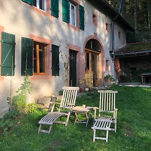 B & B Maison Helise La Croix-aux-Mines Exterior photo