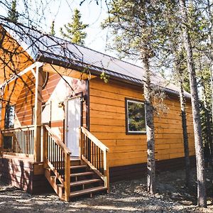 Denali Wild Stay - Redfox Cabin, Free Wifi, Private, Sleep 6 Хілі Exterior photo