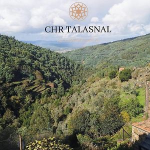 Chr Talasnal_Casa Da Pedra Лозан Exterior photo