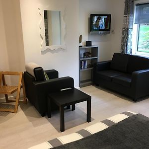 Spacious Ground Floor Studio Flat - Easy Access To Stansted Airport, London And Cambridge Бішопс-Стортфорд Exterior photo