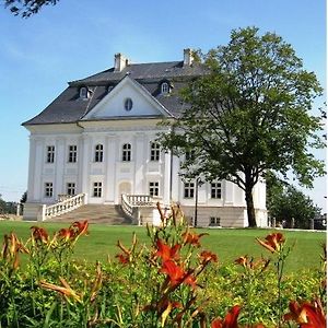 Hotel Palac Borynia Ястшембе-Здруй Exterior photo