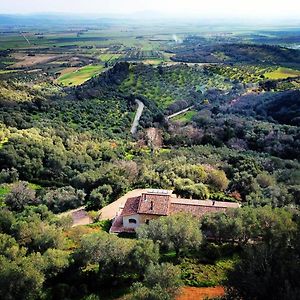 Orto De' Mandorli B&B Vetulonia Exterior photo