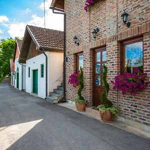 Гостьовий будинок Podrumi Kolar "Suza Baranje" Knezevi Vinogradi Exterior photo